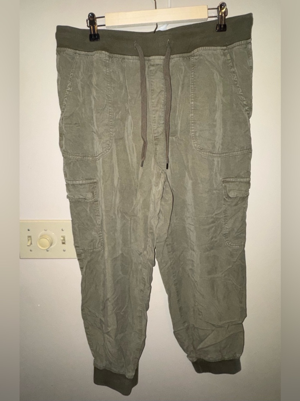 American Eagle Outfitters Olive Cargo Jogger Pants